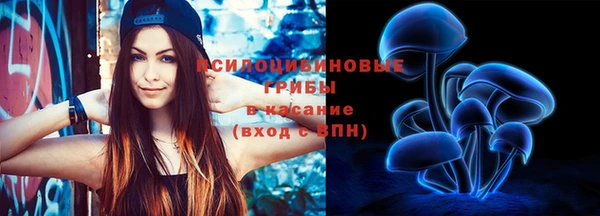 молекула духа Арсеньев
